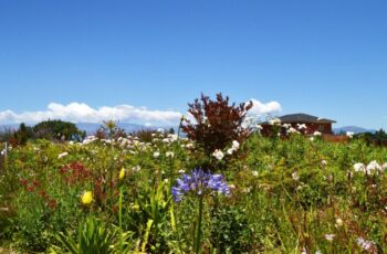 Jardín-VA